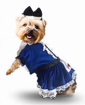 Alice Dress Dog Costume Scary Ornaments
