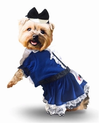 Alice Dress Dog Costume Scary Ornaments