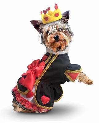 Mystical Accessories Mysterious Lights Big Bow and Hearts Queen Dress Dog Costume