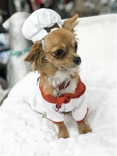 Bone Appetite Chef Costume Ghostly Supplies Fantastic Crafts