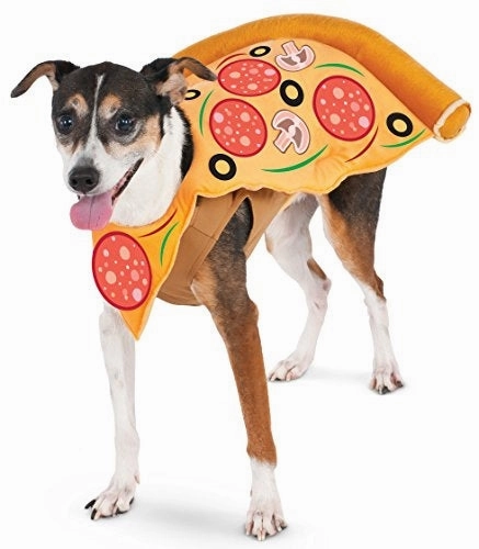 Whimsical Party Pizza Slice Pet Costume