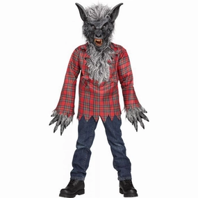 Charming Lights Silver and Grey Werewolf Child Costume