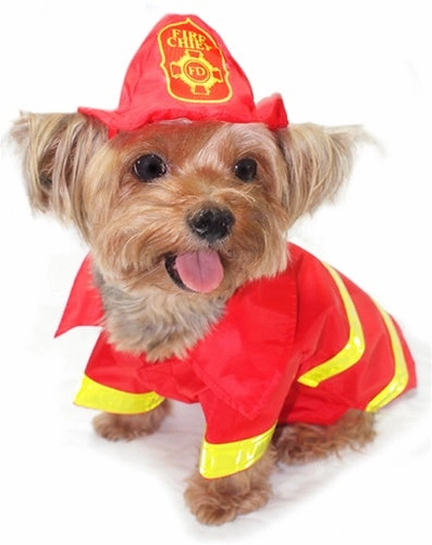 Fireman Costume Enchanting Party Haunted Accessories
