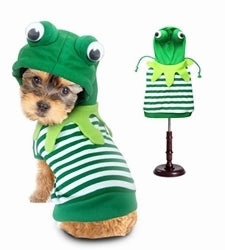 Spooky Treats Ghostly Party Frog Dog Costume