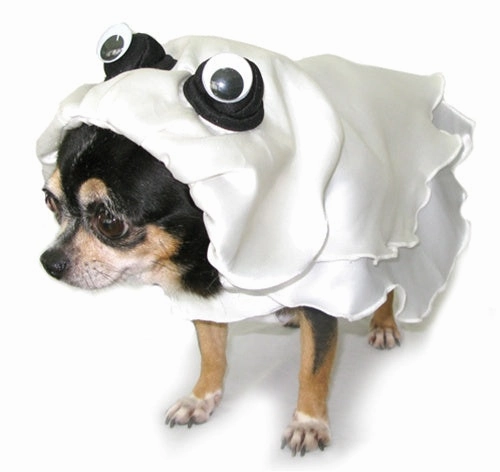 Ghost Costume Spooky Supplies