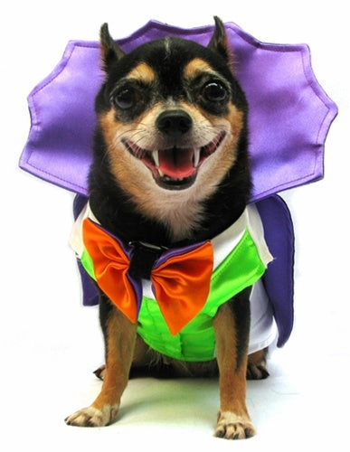 Dogula Costume Ghoulish Crafts Eerie Lights