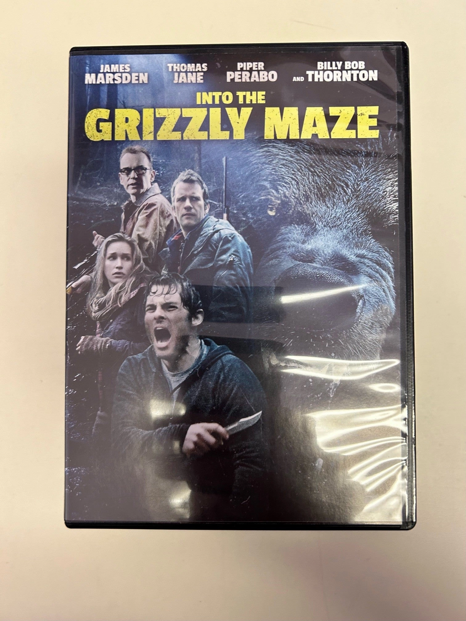 Mystical Party USED - Into The Grizzly Maze DVD