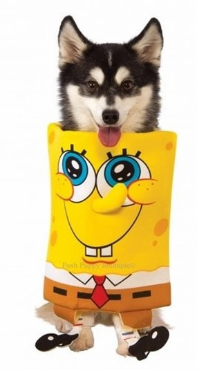 Spongebob Dog Costume Frightening Displays