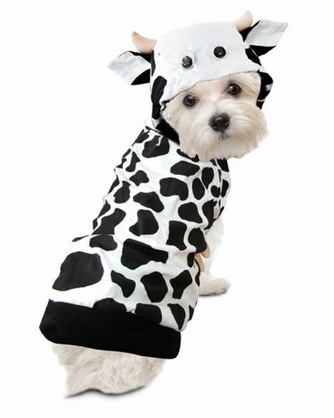 Whimsical Party Charming Accessories Cow Costume