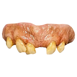 Scary Designs The Texas Chainsaw Massacre 2 - Leatherface Teeth
