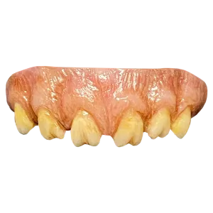 Ghoulish Accents Frightening Props The Texas Chainsaw Massacre (1974) - Leatherface Teeth