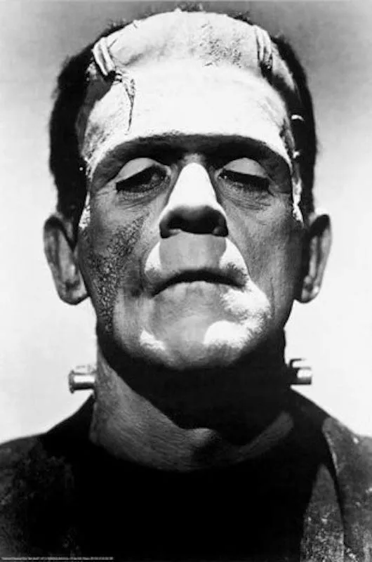 Frankenstein Monster Poster Ghostly Supplies Monster Displays